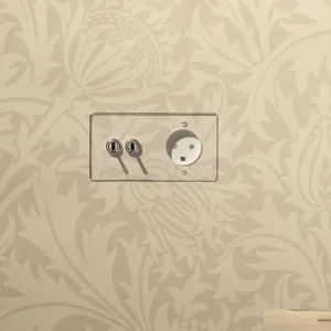 Kew Double 2x Toggle & Danish Type K Socket - Průhledný Polished Nickel | White
