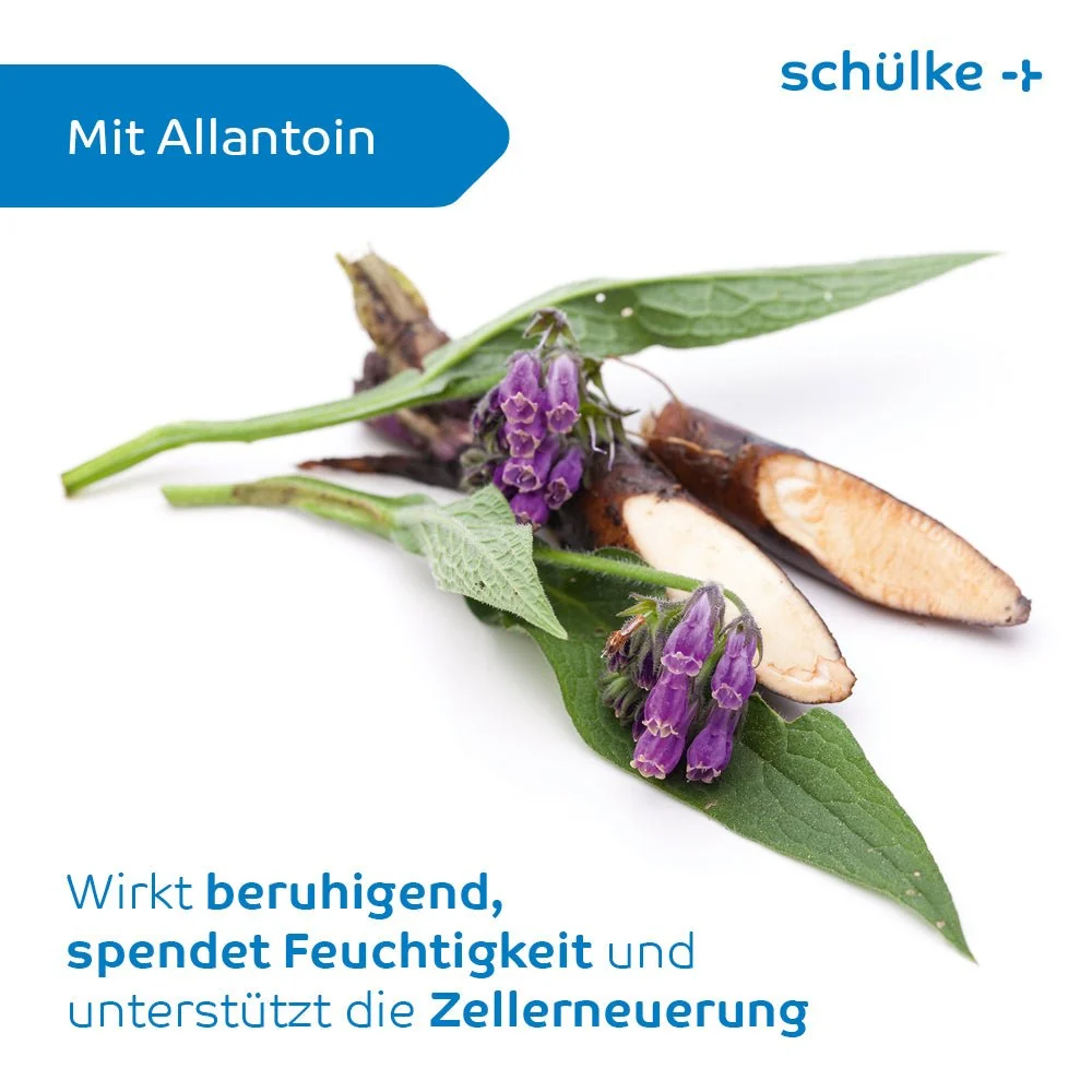 Schülke esemtan® Waschhandschuhe | Packung (10 Handschuhe)