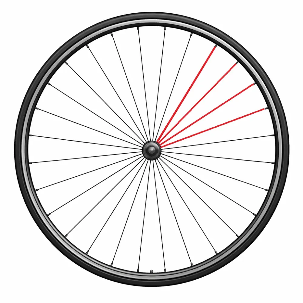 Sada 4 pravých zadních disků CAMPAGNOLO CALIMA