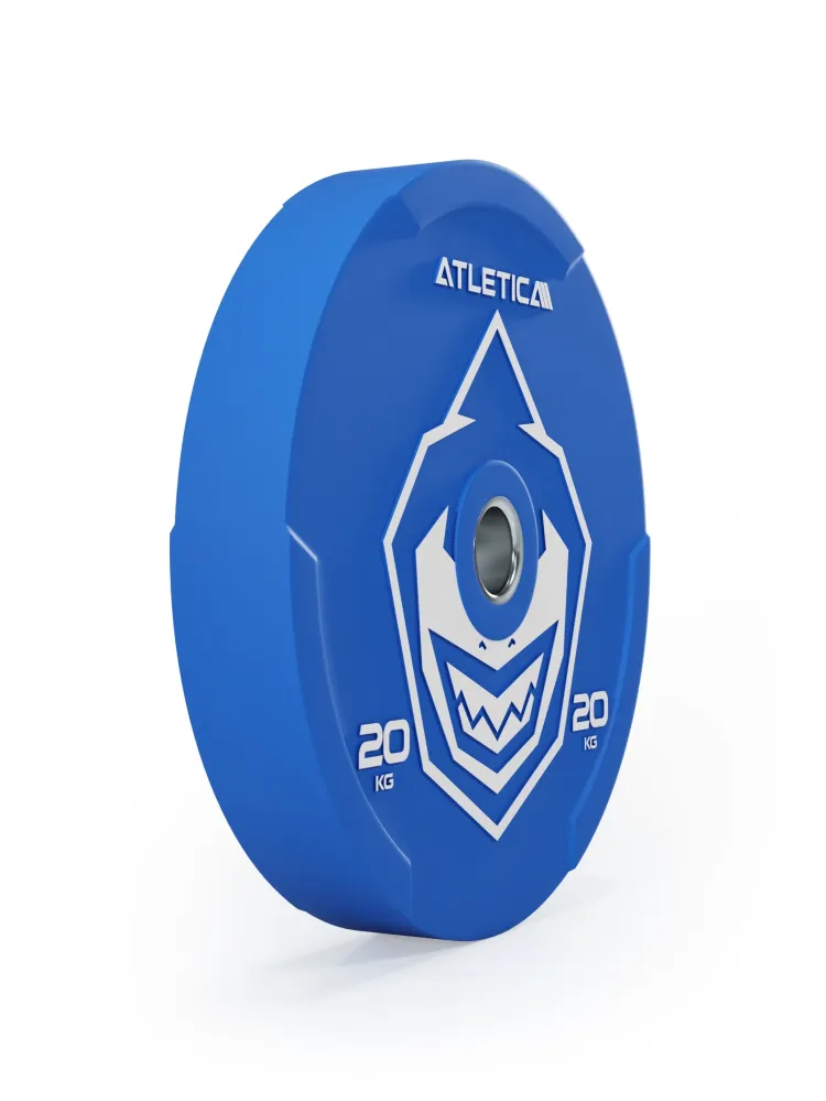 Zvířecí Bumper kotouče 20kg | Pár